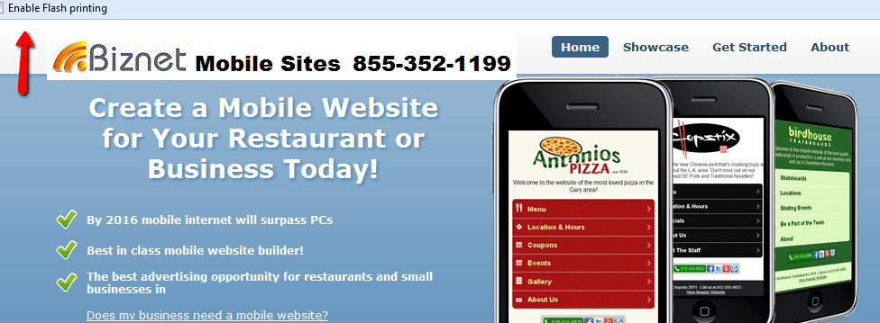 Biznet Marketing