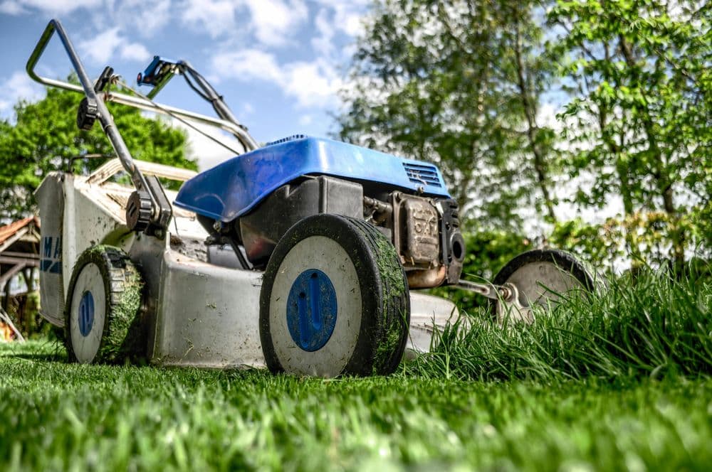American Lawn Care Experts