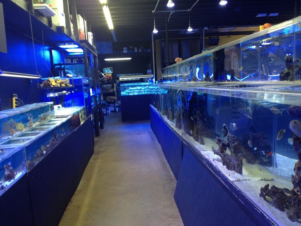 Bio Reef