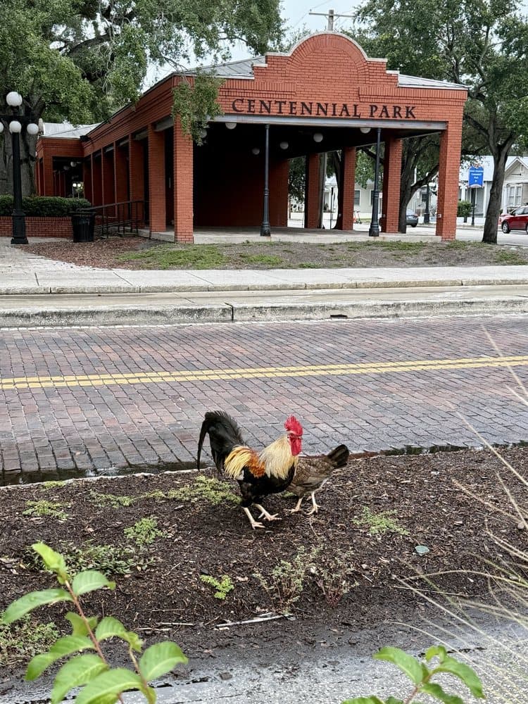 Ybor Centennial Park