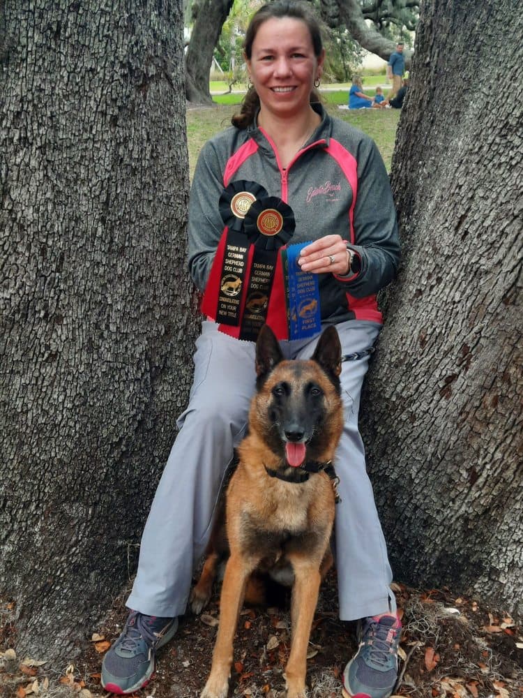 The Dog Training Club of Tampa