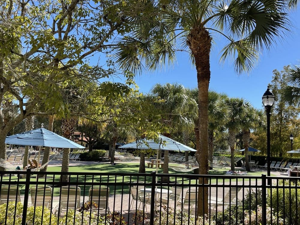 Holiday Inn & Suites Orange Park - Wells Rd