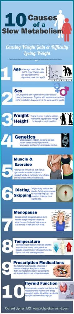 Richard  Lipman MD