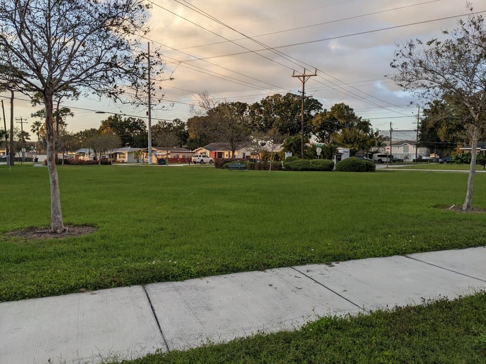 Kathy Echevarria Greenspace
