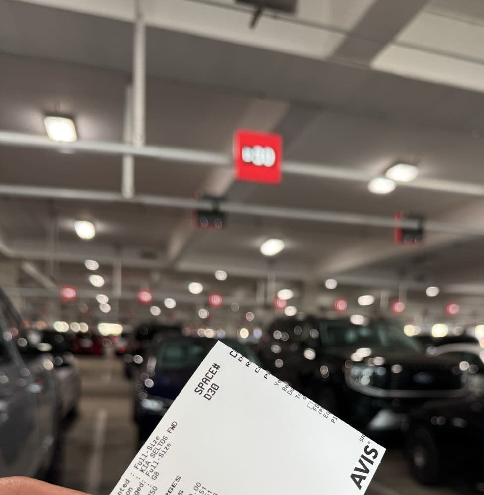 Avis Car Rental