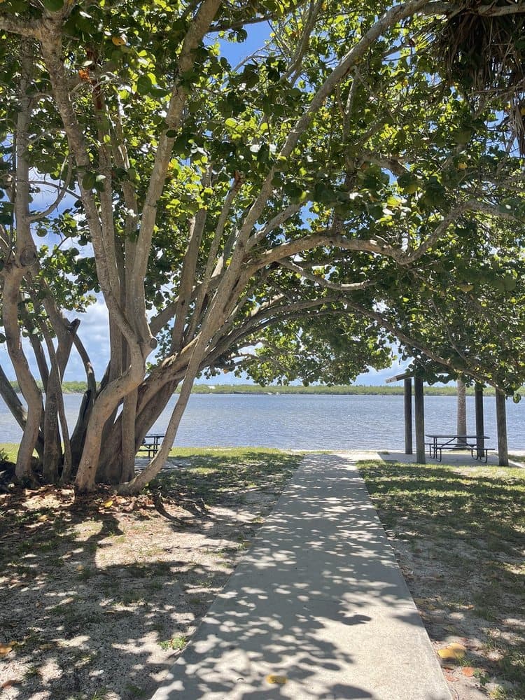 Cove Road Park