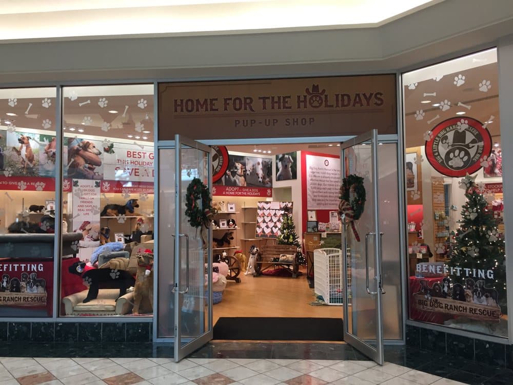 PAWS For Love Pup-Up Shop