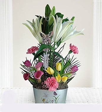 Divine Designs Florist