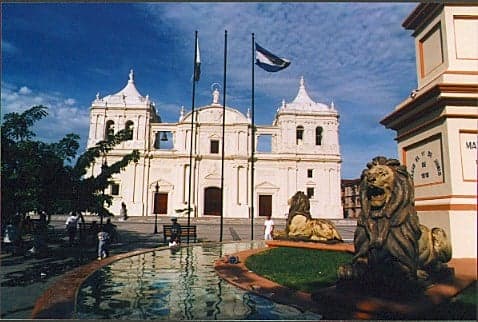 Leon Dorado Market Place