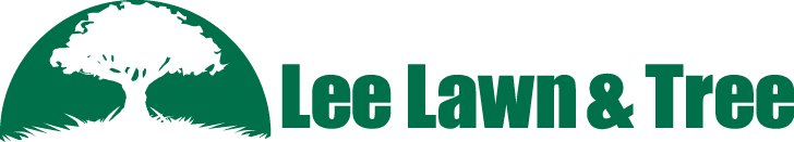 Lee Lawn and Tree