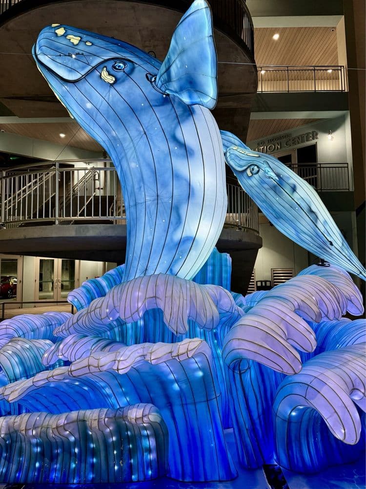Clearwater Marine Aquarium