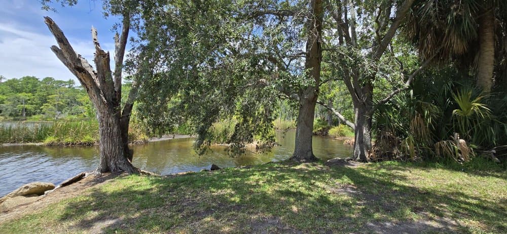 Manatee Point
