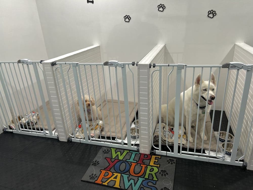 Barking Club