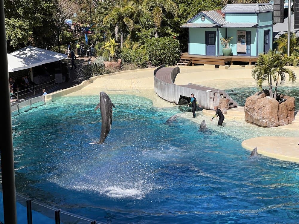 Dolphin Theater