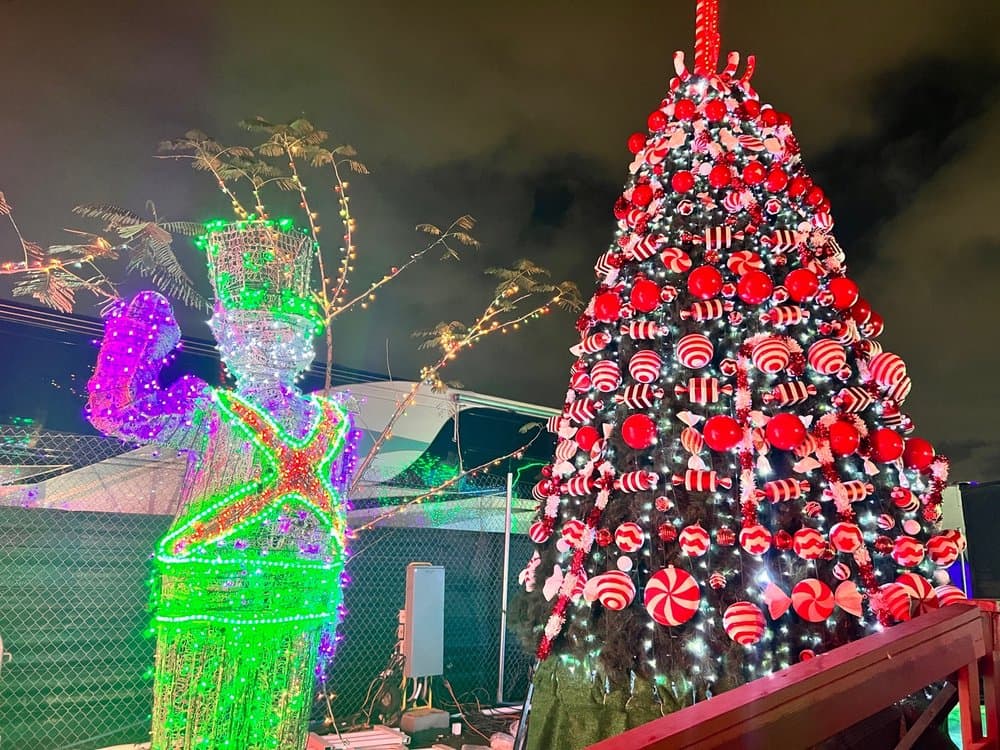 Santa's Enchanted Forest