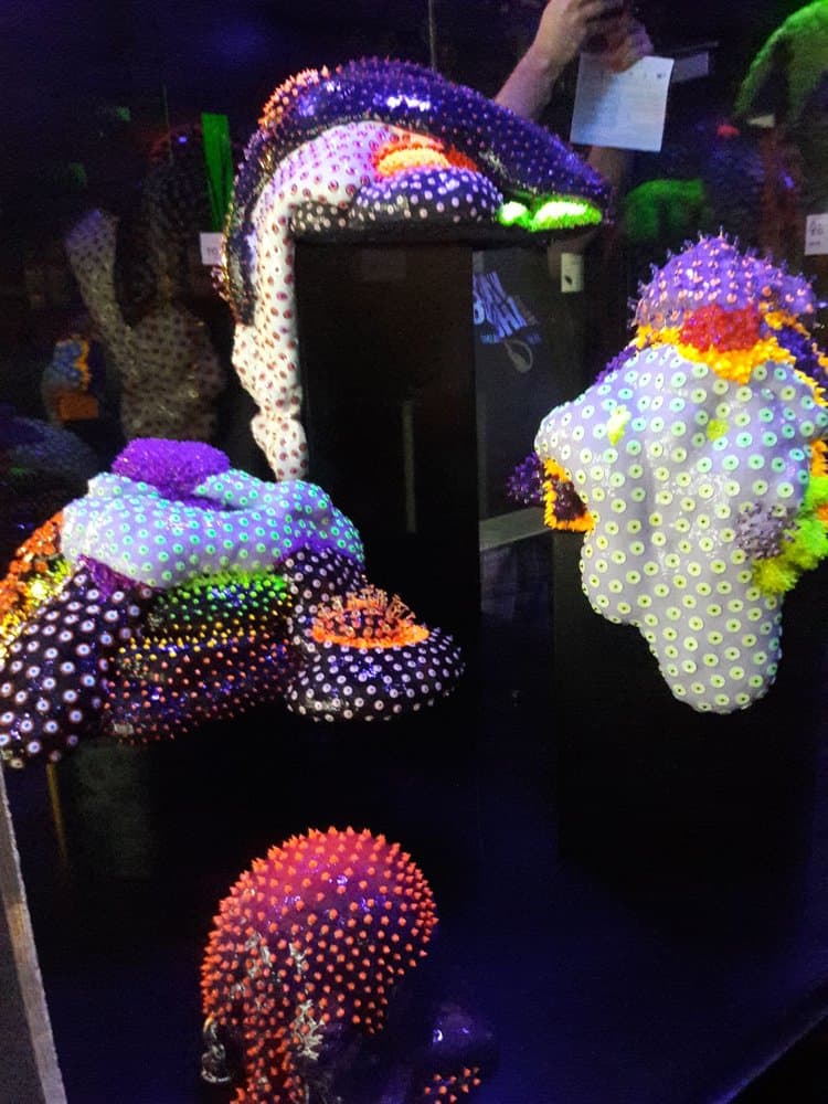 Bioluminescence Exhibition at Frost Science Museum