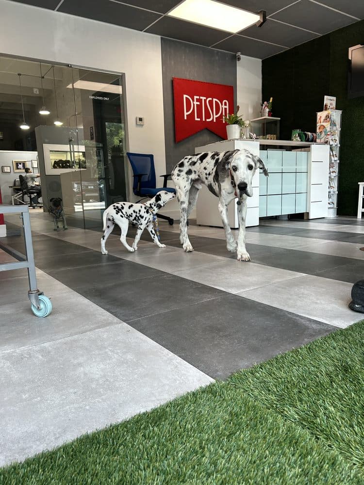 Petspa