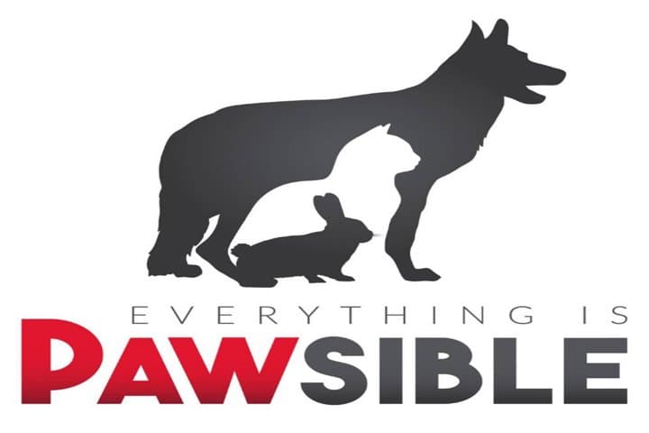 Everything Is Pawsible