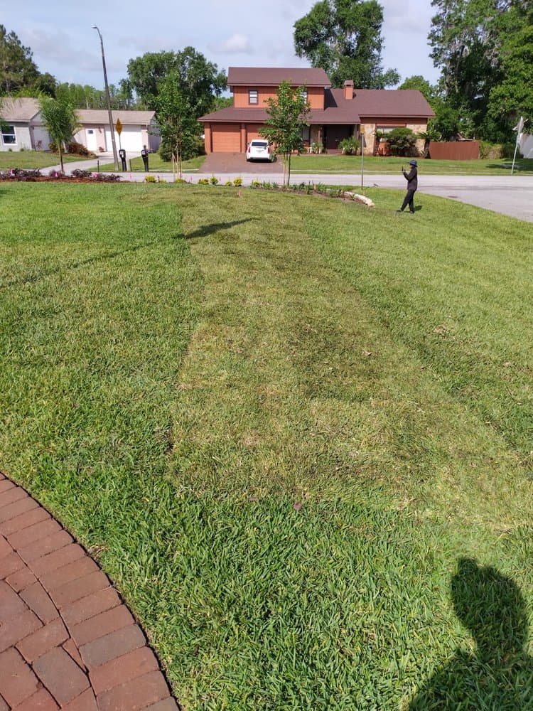 Erikeiber Tree Service