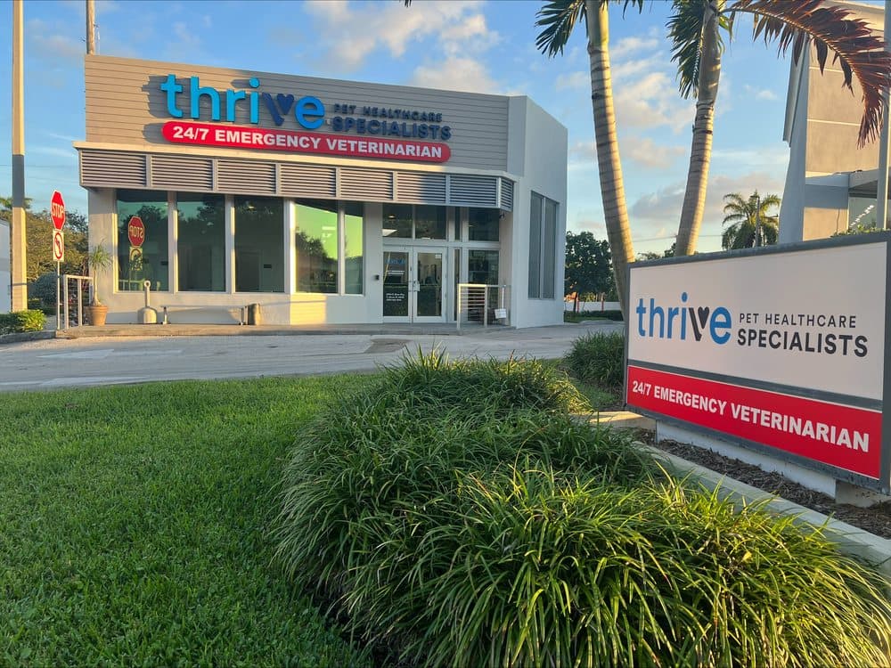 Thrive Pet Healthcare Specialists Miami