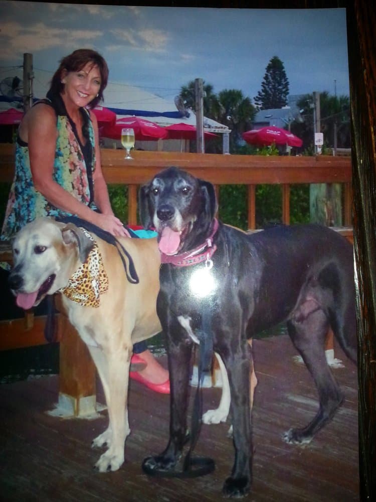 Fetching Pet & Home