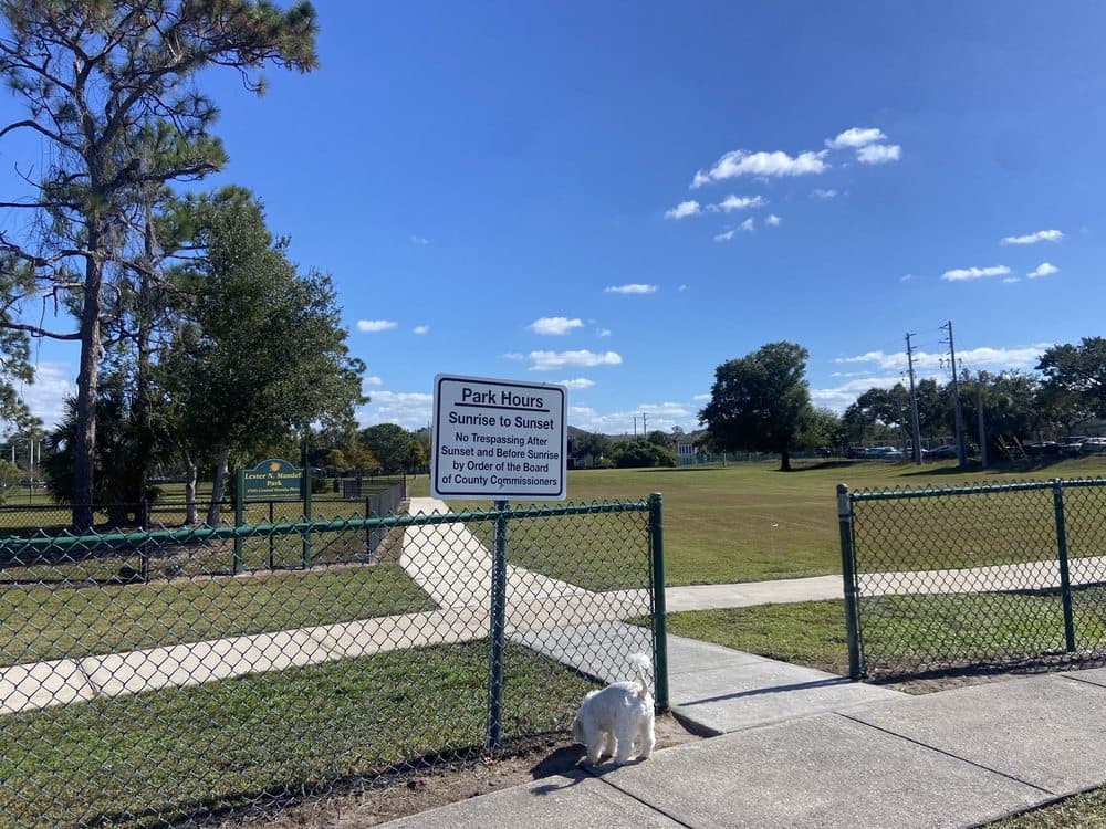 Lester Mandell Park
