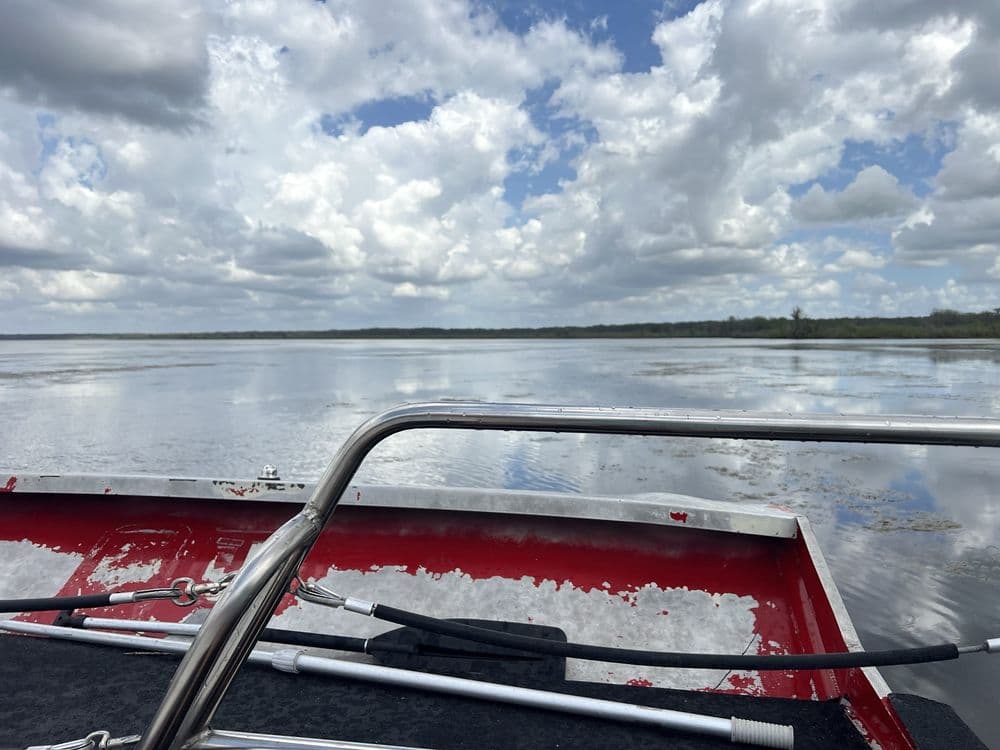Tom & Jerry's Airboat Tours