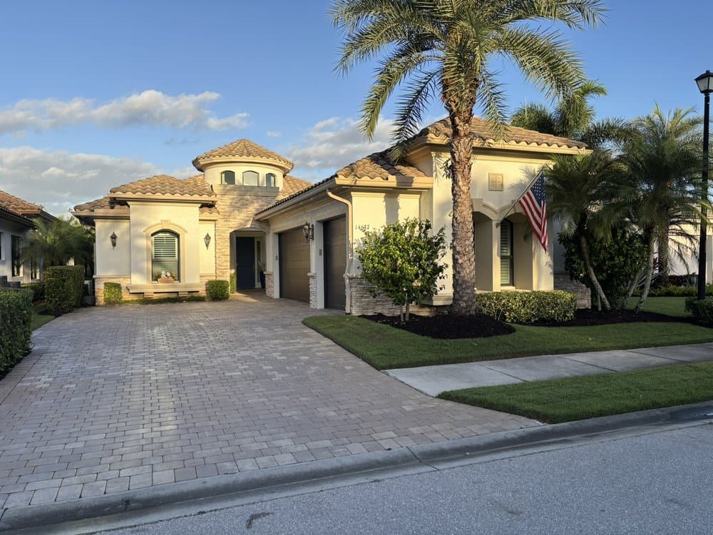Decorative foam & Stone