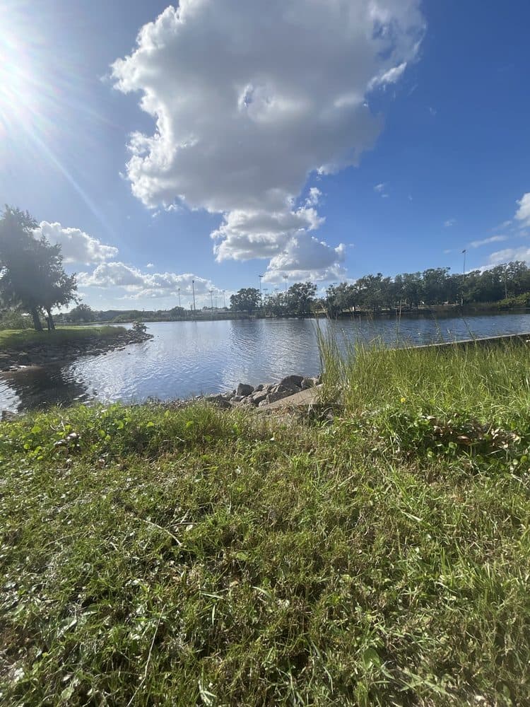Reed Park