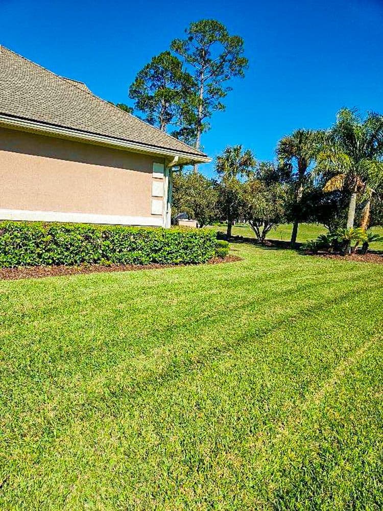 Nex Gen Lawn Care