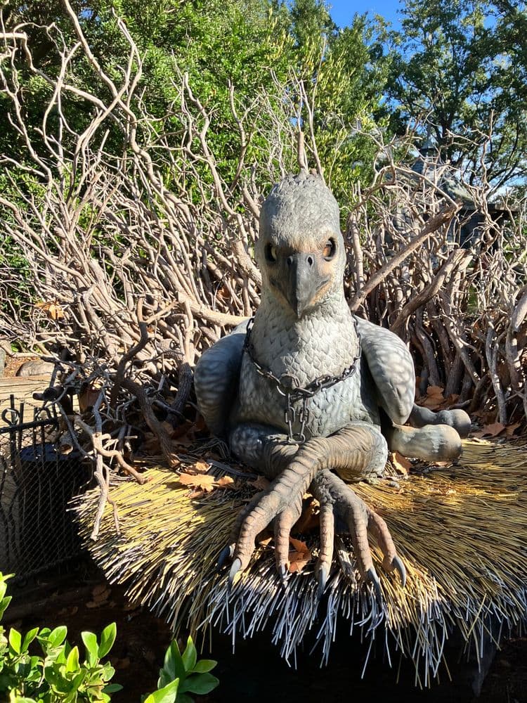 Flight of the Hippogriff