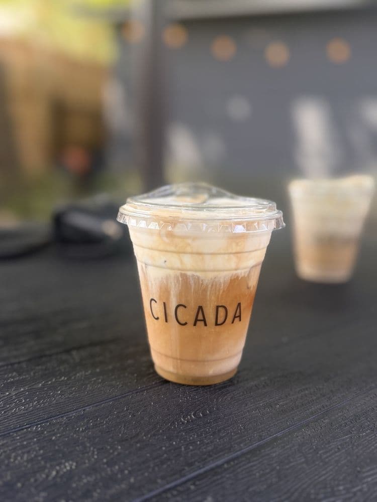 Cicada Coffee
