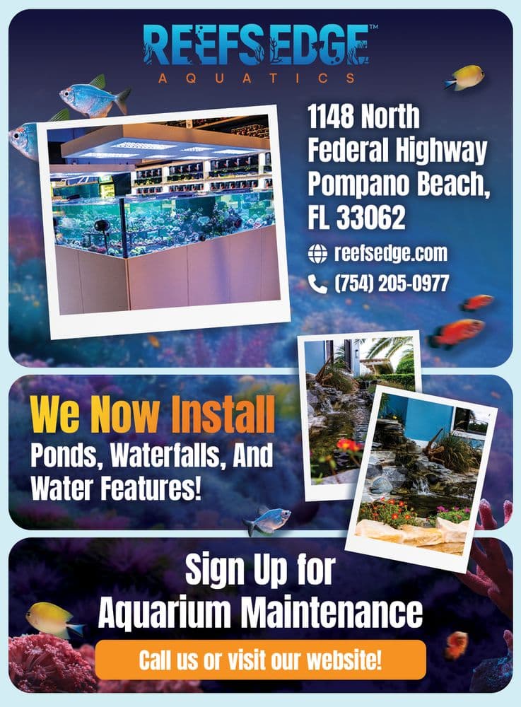 Reefs Edge Aquatics