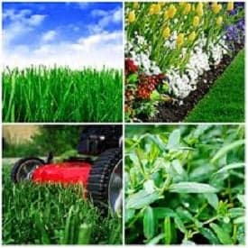 Lawn Dove Landscape Services