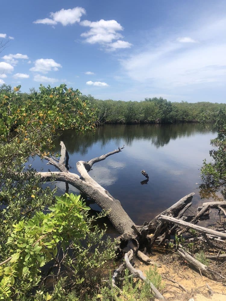 North Anclote River Nature Park
