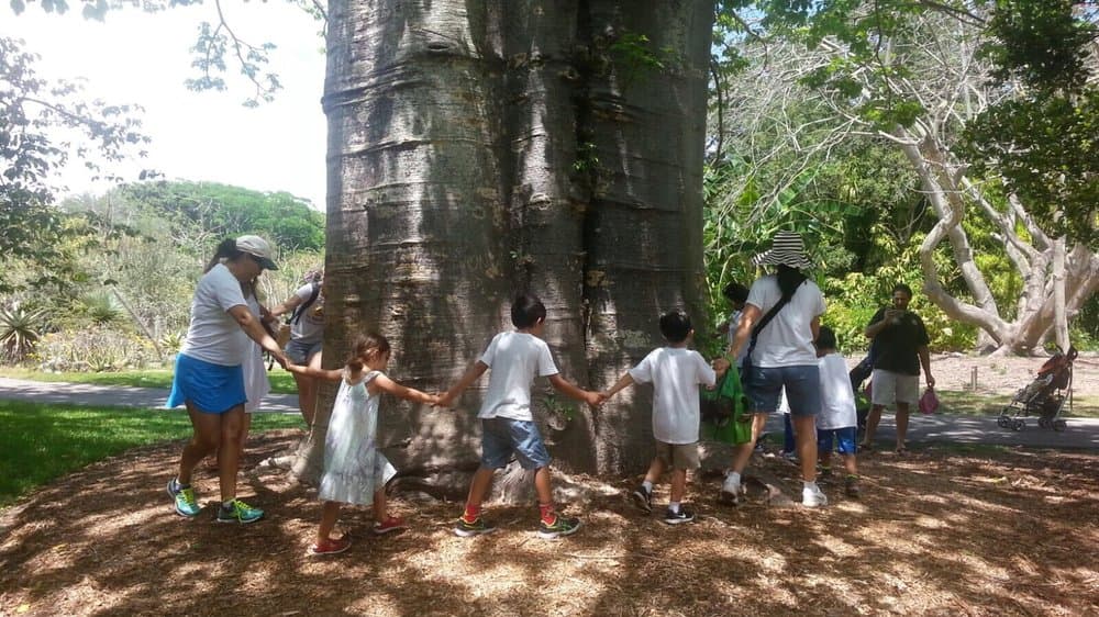 Saint Matthew's Cooperative Preschool