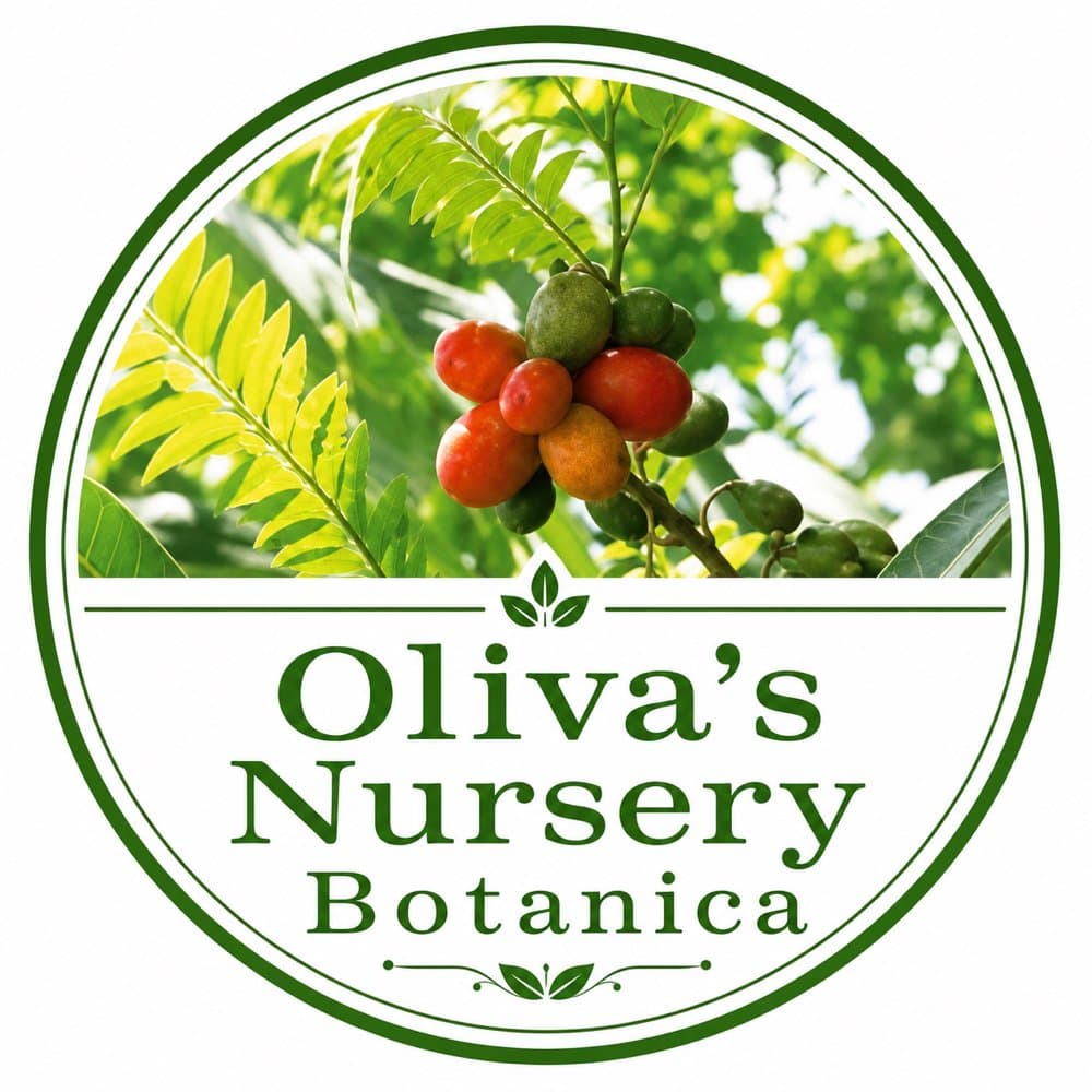 Oliva’s Nursery Botanica
