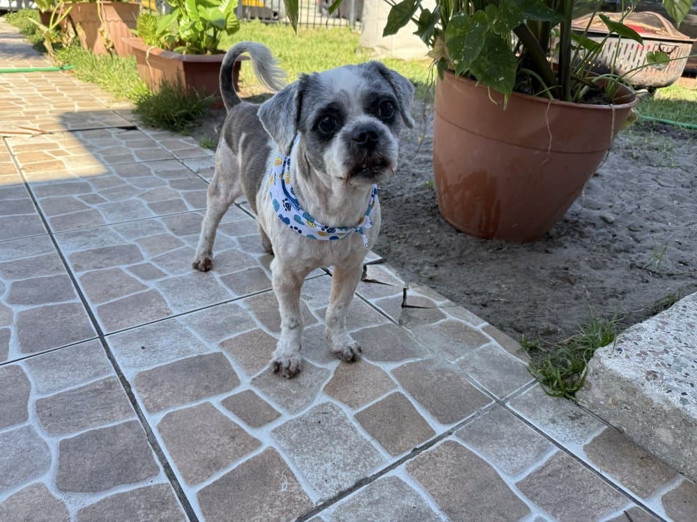 TruPaw Spa Pet Grooming & Pet Boarding