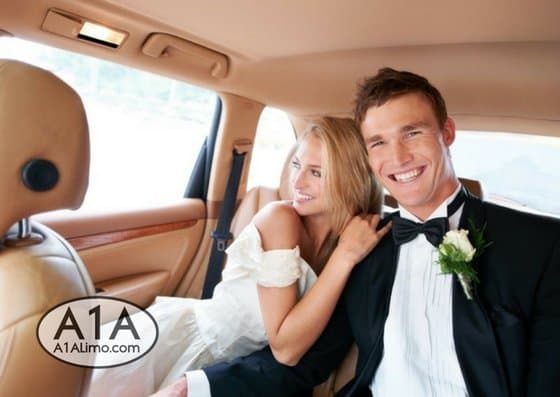 A1A Airport & Limousine Service