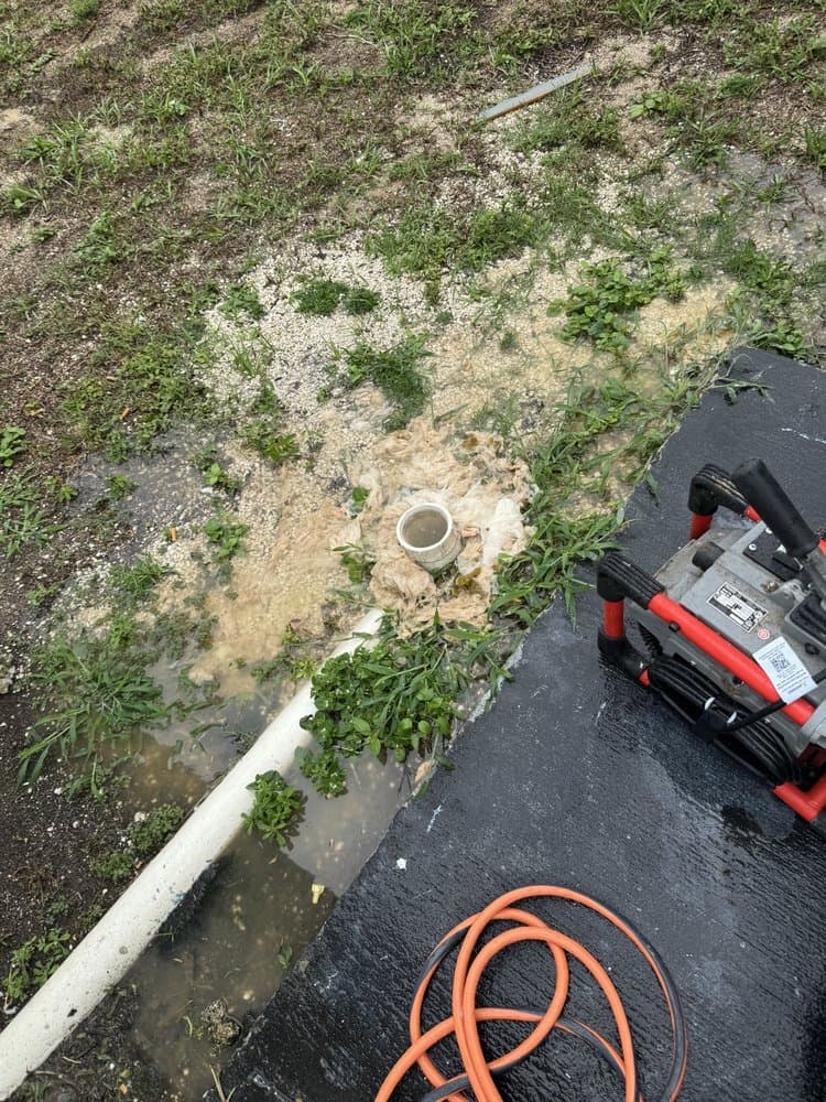 Florida Drain Kings
