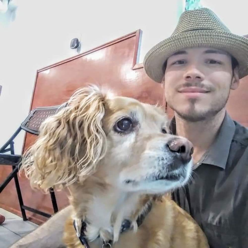 Petz