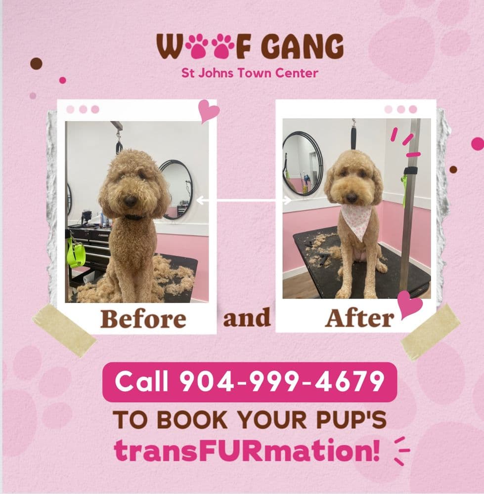 Woof Gang Bakery & Grooming