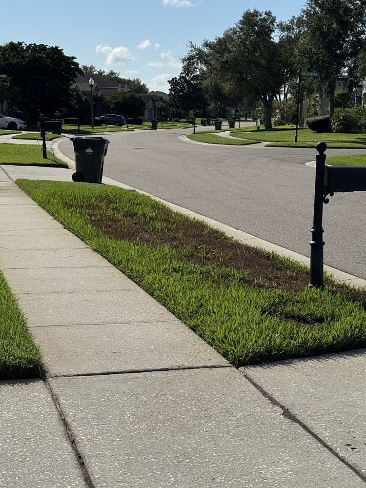 Florida's Finest Lawn & Pest Control