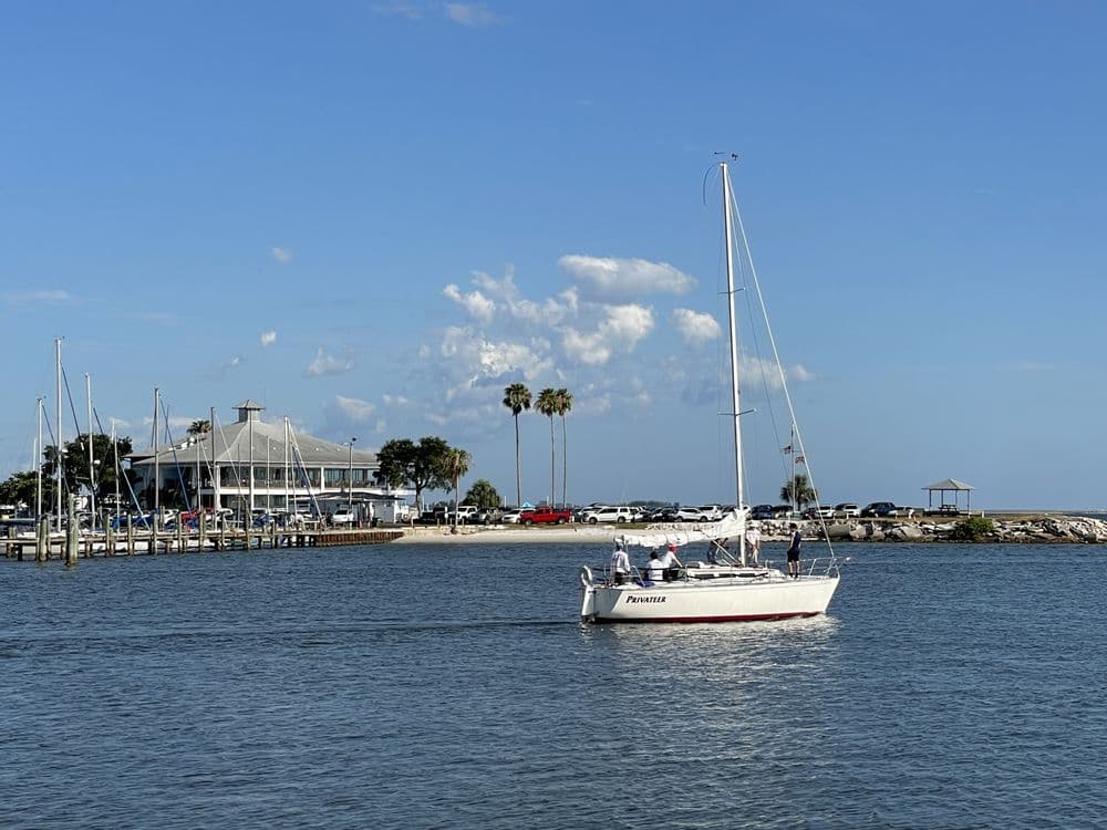 Davis Island Trail