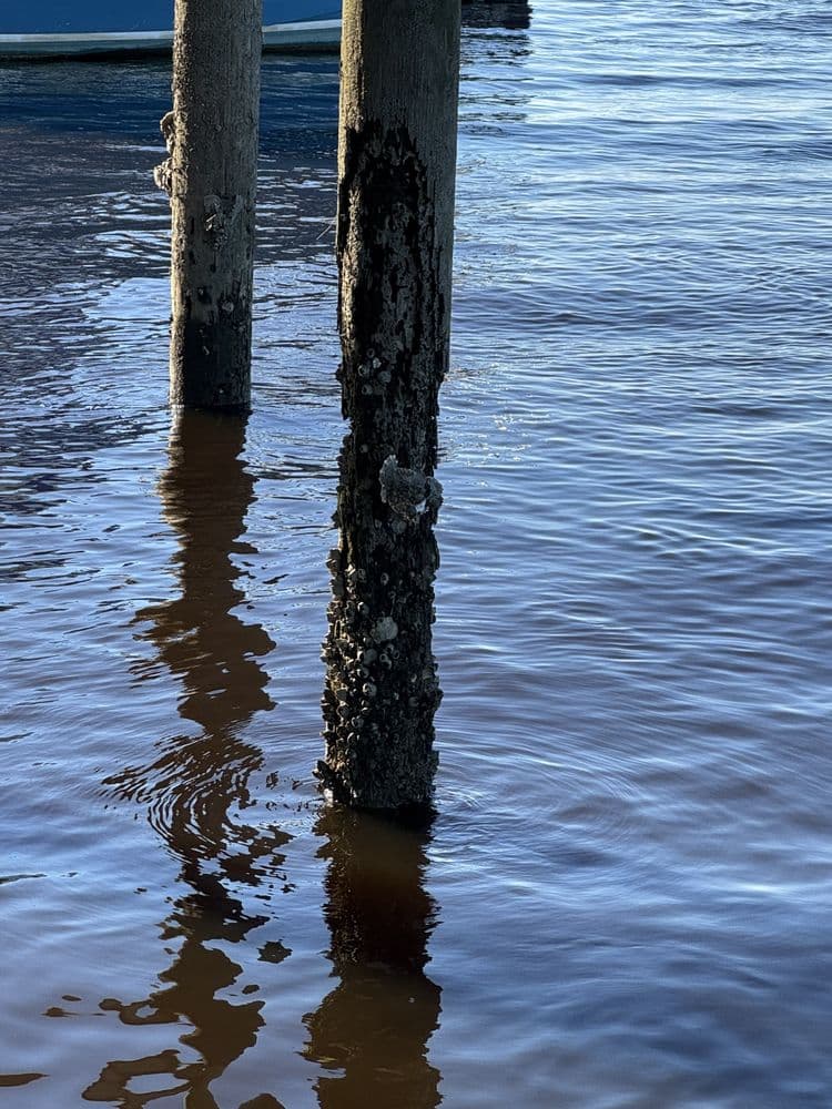 Piling Magic