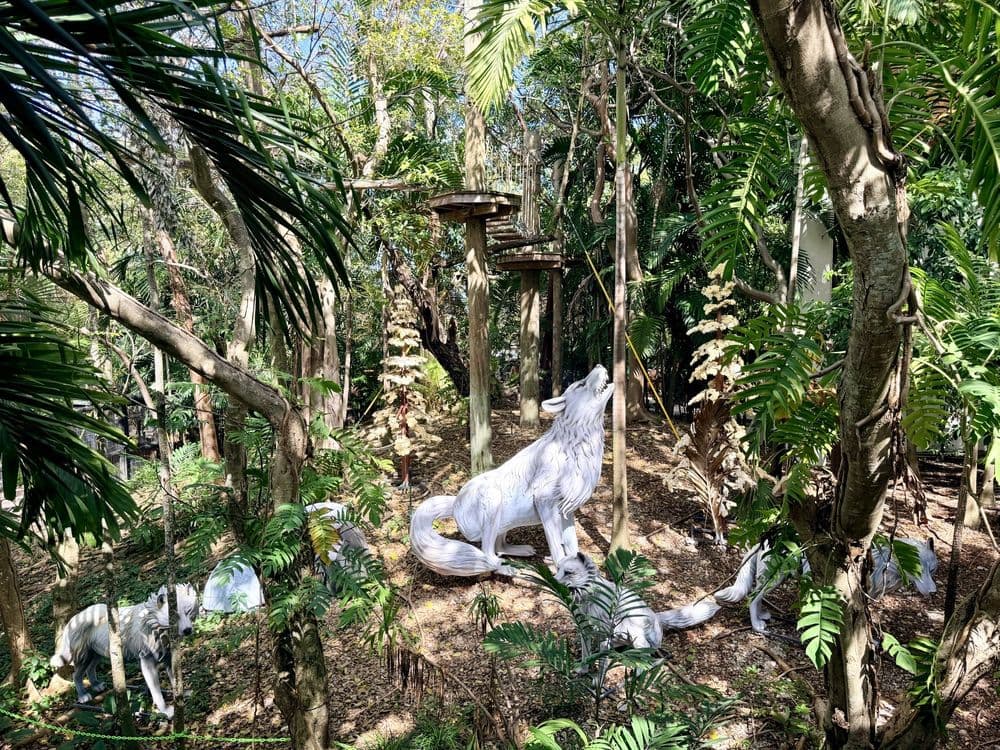 Jungle Island