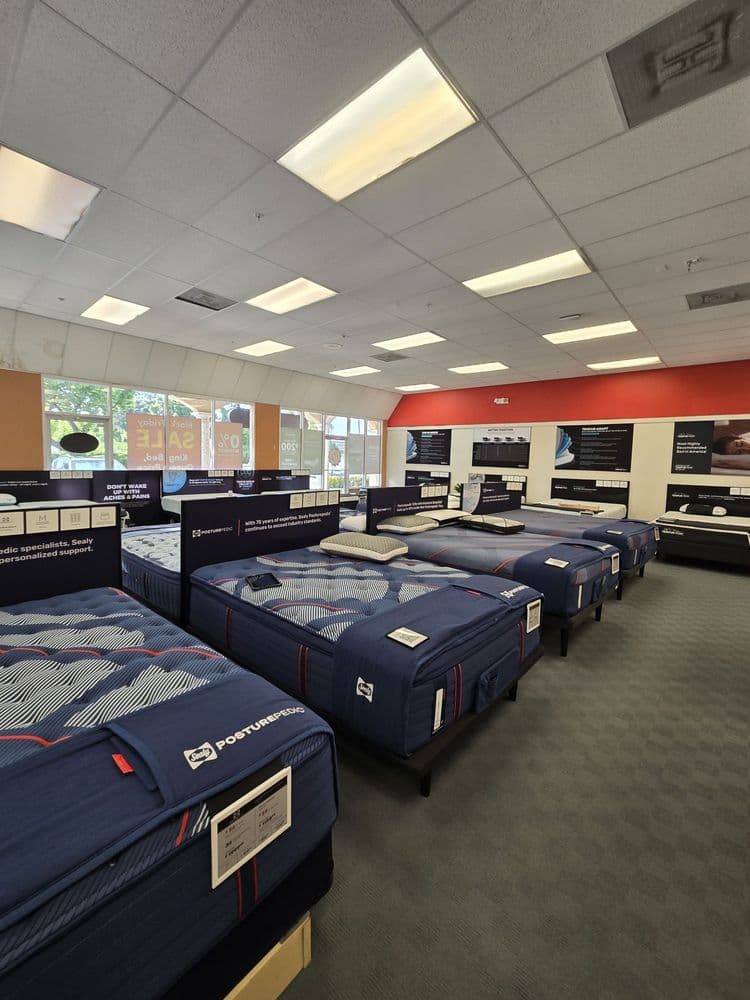 Mattress Firm International