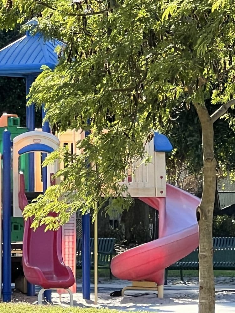 Soar Park