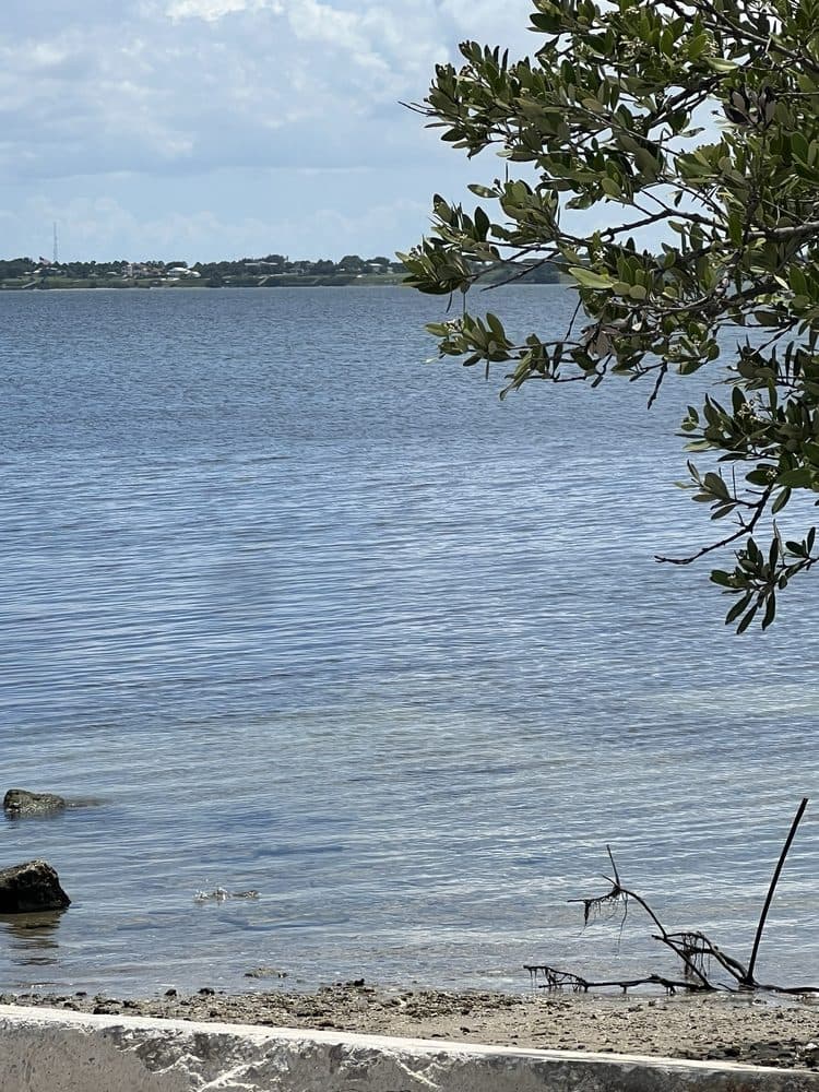 John Brooks Park Beachside