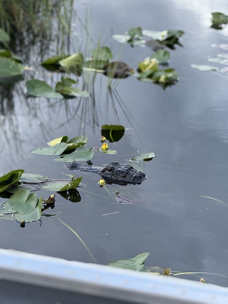 Everglades River of Grass Adventures